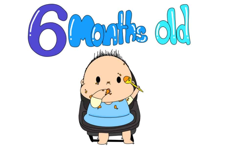 Baby Development 6 Months